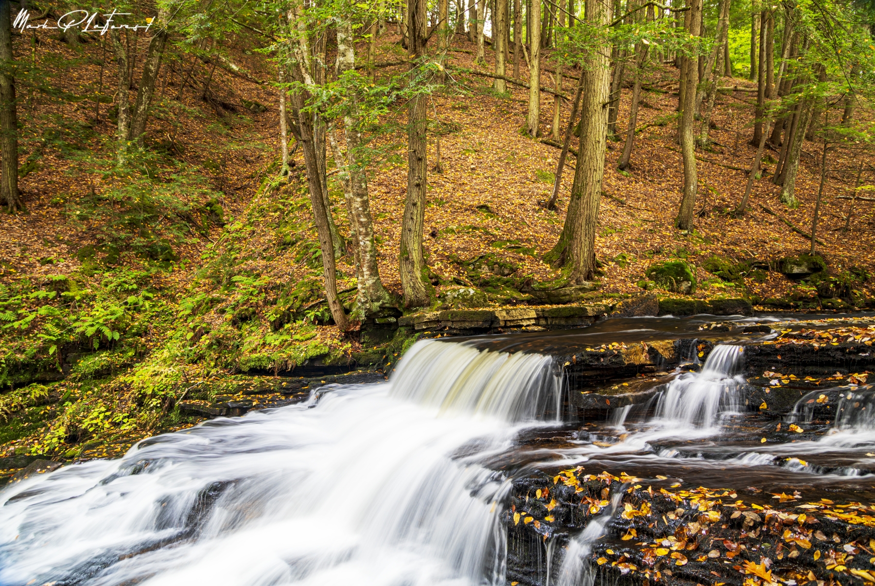 /gallery/north_america/USA/NY/edinburgh/Beecher Creek, NY 2021-004_med.jpg